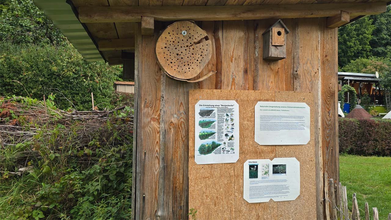 Holzwand mit Insektenhotel, Nistkasten und Infotafeln – Einstieg ins Biotop des KGV Walderholung