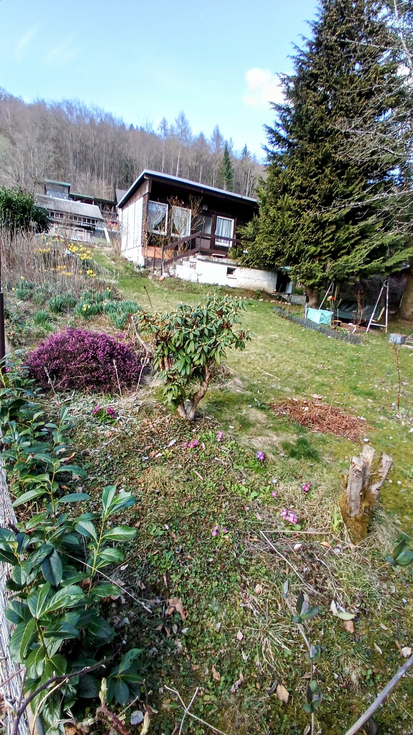Kleingarten mit Bungalow